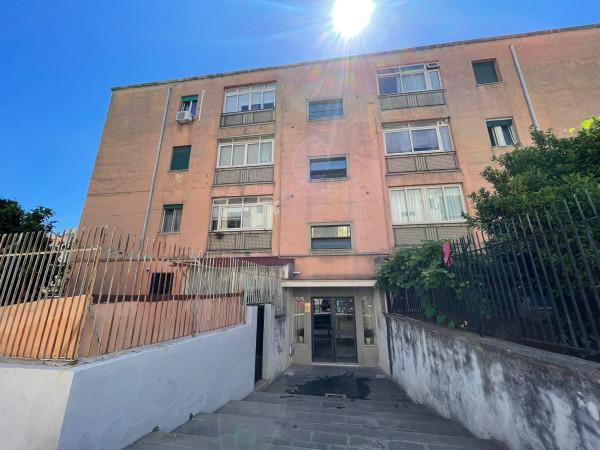 appartamento in vendita a Messina