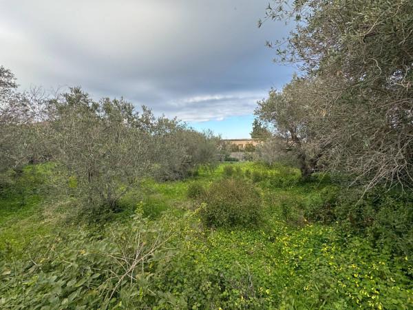 negozio in vendita a Messina in zona Spartà