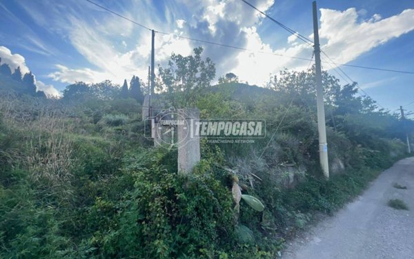 terreno agricolo in vendita a Messina in zona Larderia