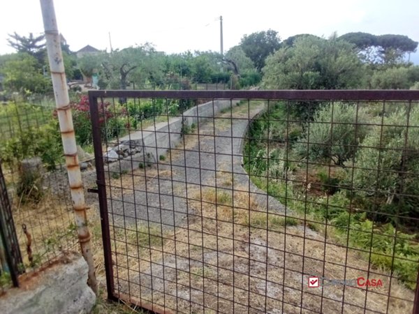 terreno agricolo in vendita a Messina in zona Centro Storico