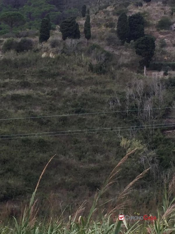 terreno agricolo in vendita a Messina in zona Centro Storico