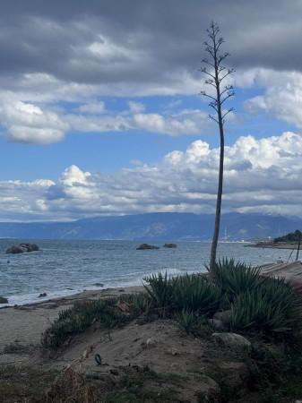 appartamento in vendita a Messina in zona Acqualadroni