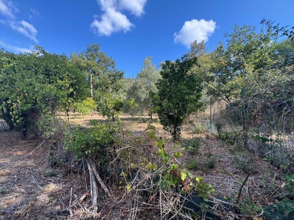 terreno agricolo in vendita a Messina in zona Santa Margherita