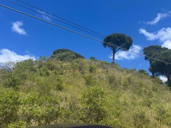 terreno agricolo in vendita a Messina in zona Santissima Annunziata