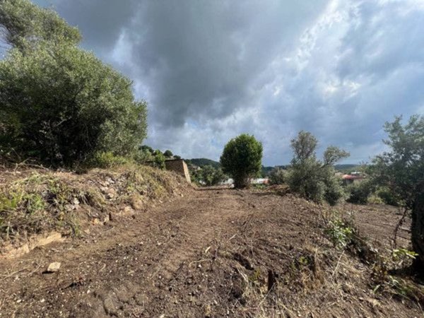 terreno agricolo in vendita a Messina in zona Larderia