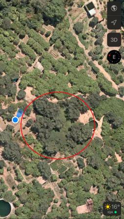 terreno agricolo in vendita a Messina in zona Santa Margherita