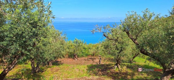terreno agricolo in vendita a Messina