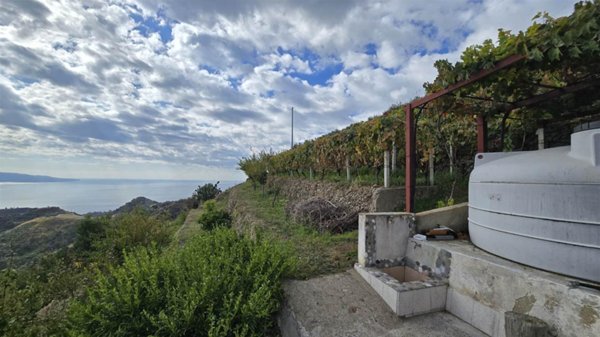 terreno agricolo in vendita a Messina in zona Santa Margherita