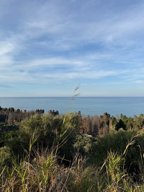 terreno agricolo in vendita a Messina in zona Rodia