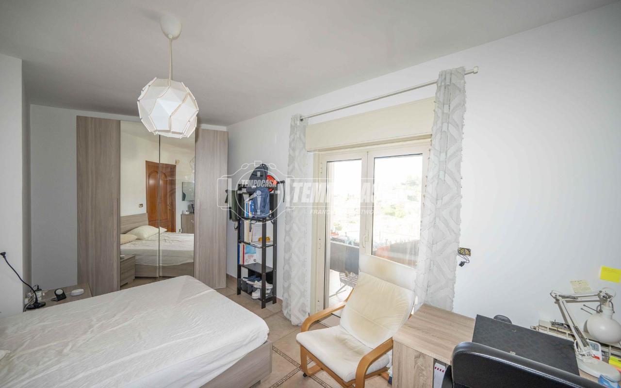 immagine annuncio 0 di 15