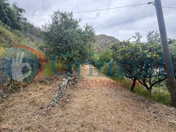 terreno agricolo in vendita a Messina in zona Santa Margherita