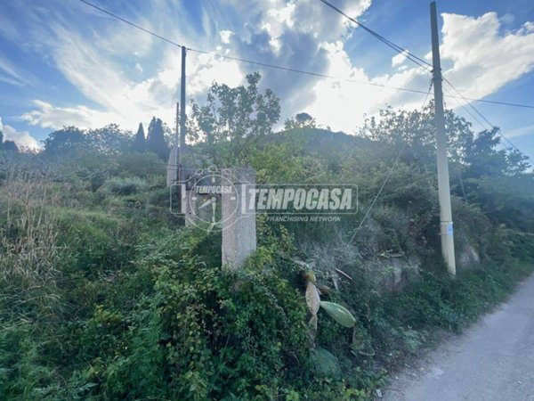 terreno agricolo in vendita a Messina in zona Gesso