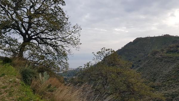 terreno agricolo in vendita a Messina in zona Larderia