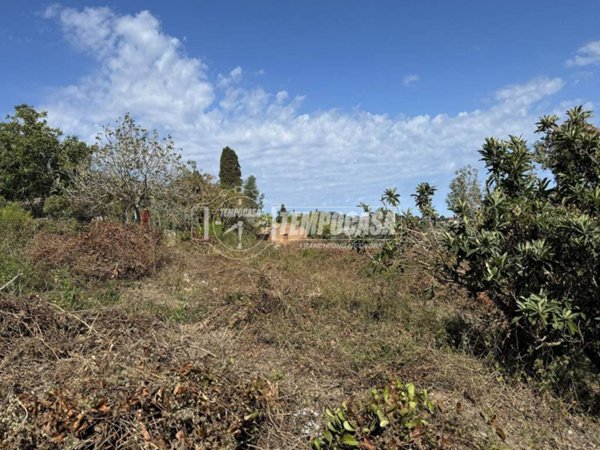 casa indipendente in vendita a Messina in zona Gesso