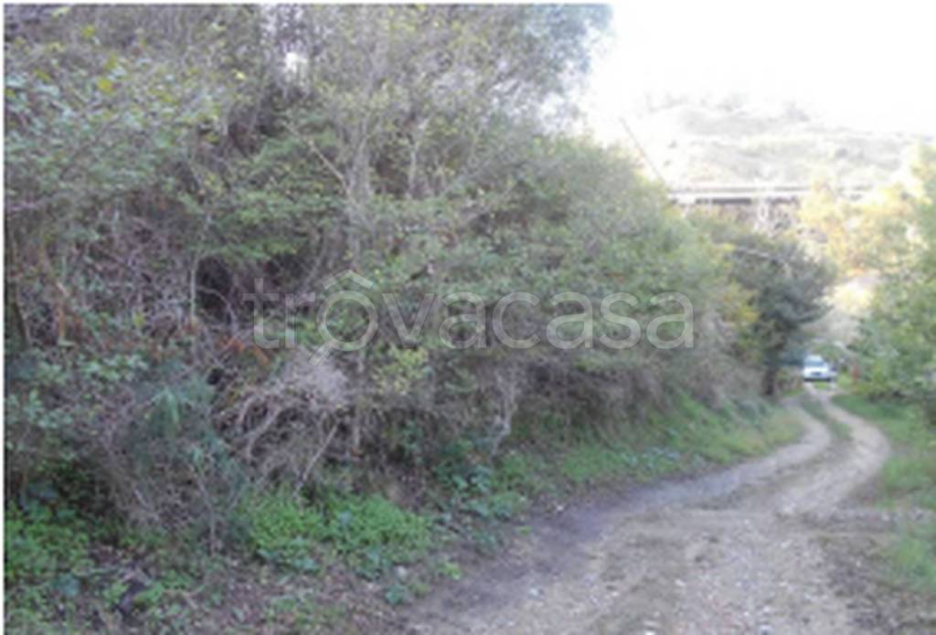 terreno agricolo in vendita a Messina