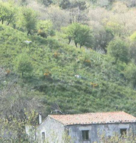 terreno agricolo in vendita a Messina in zona Santa Margherita
