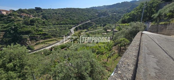 terreno agricolo in vendita a Messina in zona Rodia