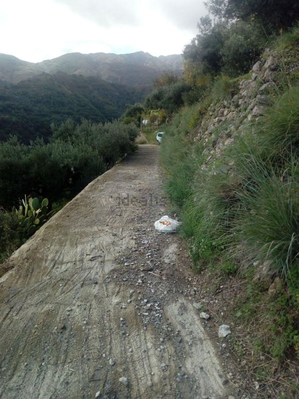 terreno agricolo in vendita a Messina in zona Santa Margherita