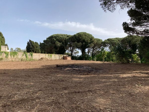 terreno agricolo in vendita a Messina in zona Castanea delle Furie