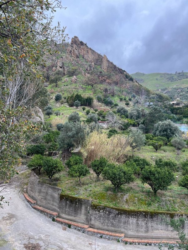terreno agricolo in vendita a Messina in zona Santa Margherita