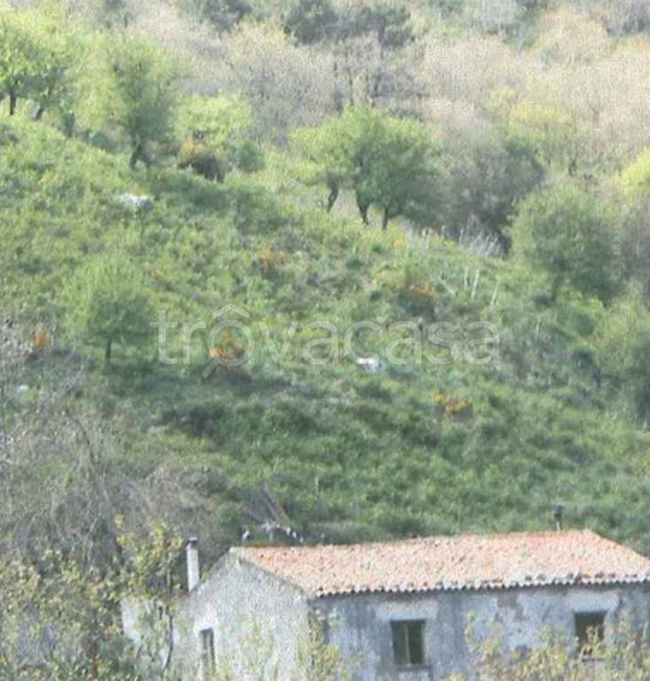 terreno agricolo in vendita a Messina in zona Santa Margherita
