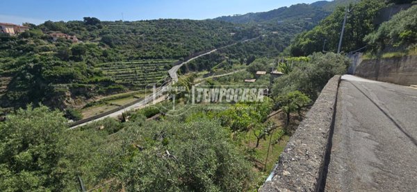 terreno agricolo in vendita a Messina in zona Rodia