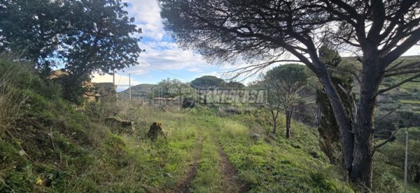 appartamento in vendita a Messina in zona Massa San Giorgio