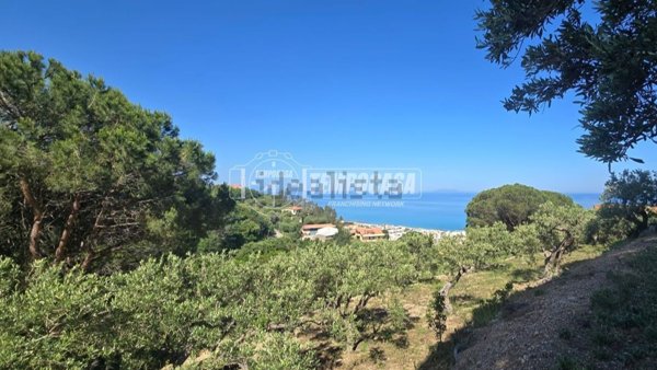 terreno agricolo in vendita a Messina in zona Rodia