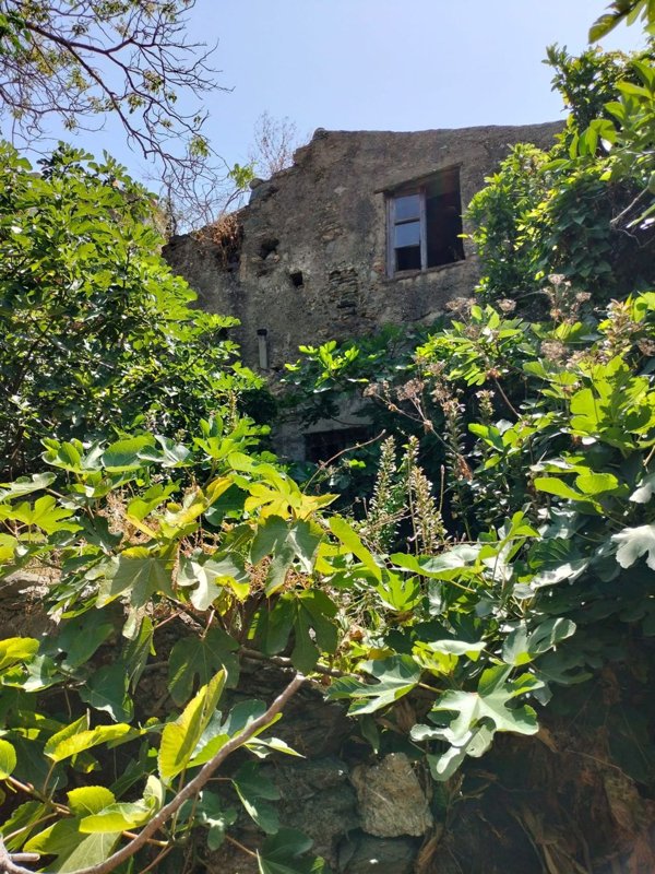 terreno agricolo in vendita a Messina in zona Santa Margherita