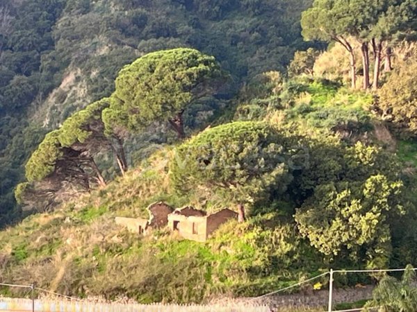 terreno agricolo in vendita a Messina in zona Camaro