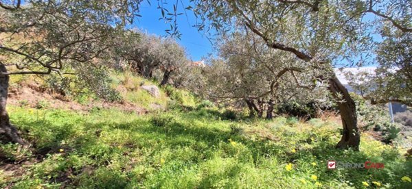 terreno agricolo in vendita a Messina in zona Rodia