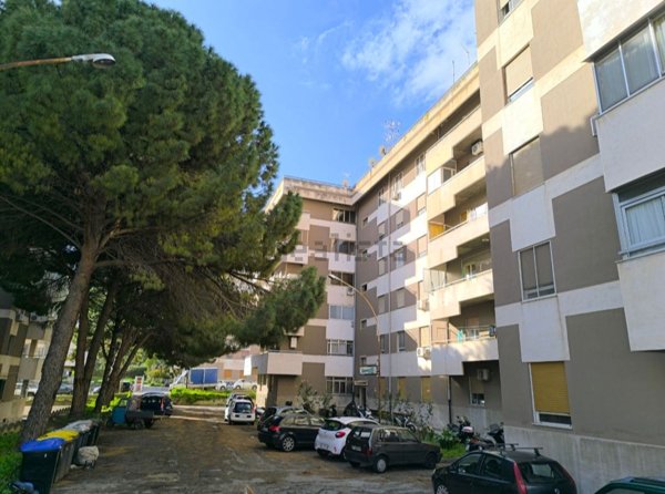 appartamento in vendita a Messina in zona Camaro