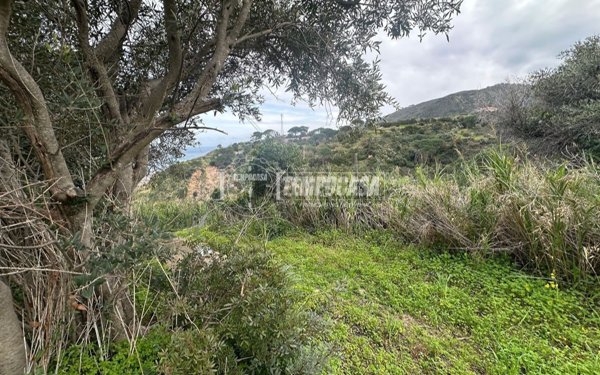 terreno agricolo in vendita a Messina in zona Rodia