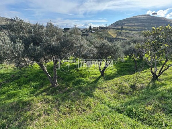 terreno agricolo in vendita a Messina in zona Salice