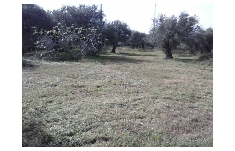terreno agricolo in vendita a Messina in zona Spartà