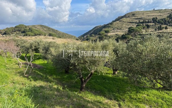 terreno agricolo in vendita a Messina