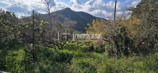 terreno agricolo in vendita a Messina in zona Acqualadroni