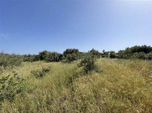 terreno agricolo in vendita a Messina in zona Spartà