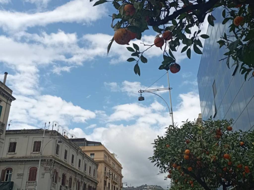 negozio in vendita a Messina