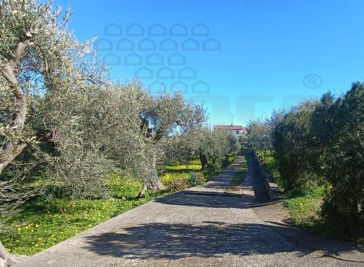 casa indipendente in vendita a Messina in zona San Saba