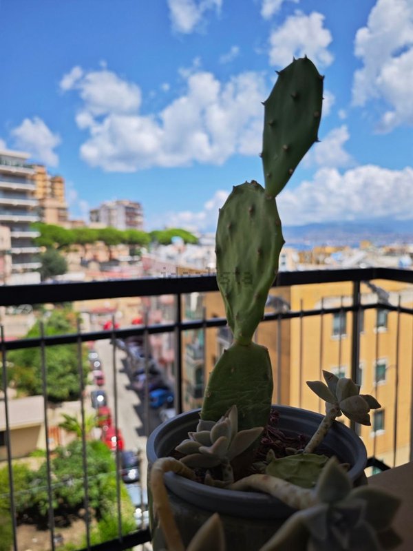 appartamento in vendita a Messina in zona San Licandro