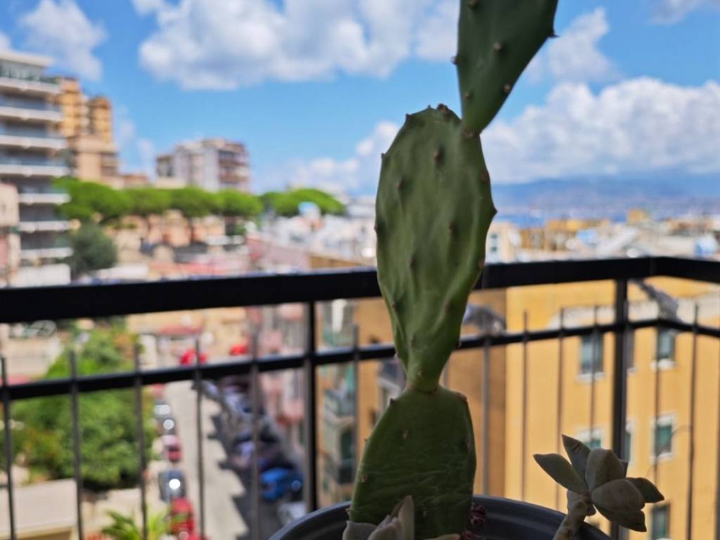 appartamento in vendita a Messina in zona San Licandro
