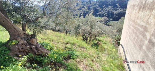 terreno agricolo in vendita a Messina in zona Rodia