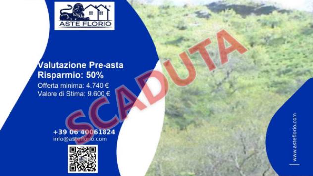 terreno agricolo in vendita a Messina in zona Santa Margherita