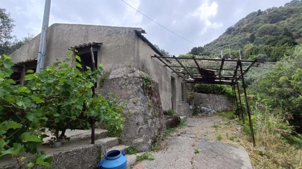 terreno agricolo in vendita a Messina in zona Zafferìa