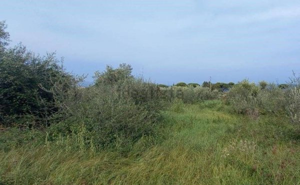 terreno agricolo in vendita a Messina in zona Spartà