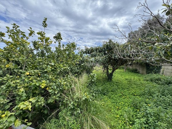 terreno agricolo in vendita a Messina in zona Salice
