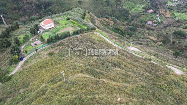 terreno agricolo in vendita a Messina