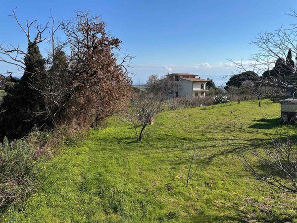 terreno agricolo in vendita a Messina in zona Mortelle