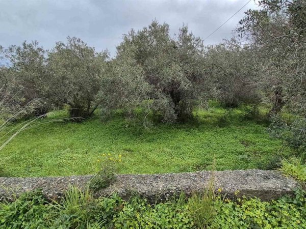 terreno agricolo in vendita a Messina in zona San Filippo